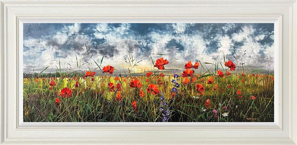 Aurora Dreams - Kimberley Harris - Watergate Contemporary