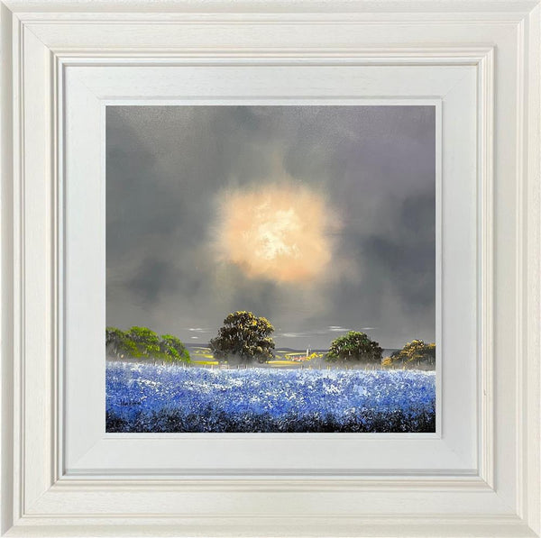 Bluebell Wonders - Allan Morgan - Watergate Contemporary