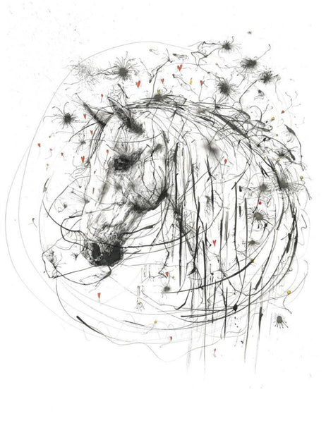 Cosmos by Scott Tetlow - Scott Tetlow - Watergate Contemporary