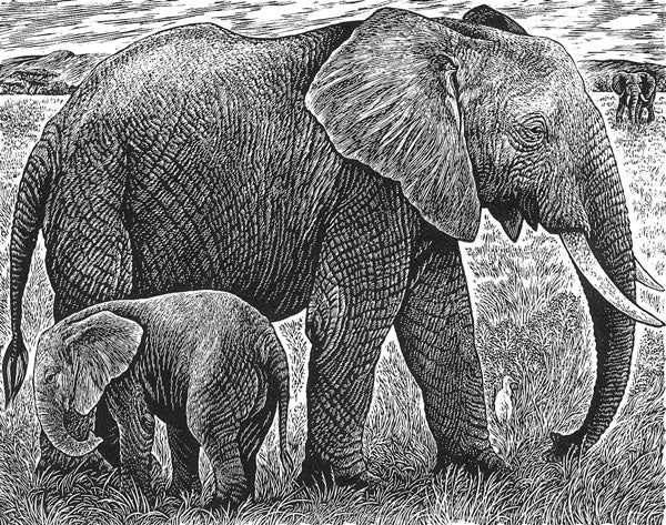 Elephant and Calf - Sue Scullard - Watergate Contemporary