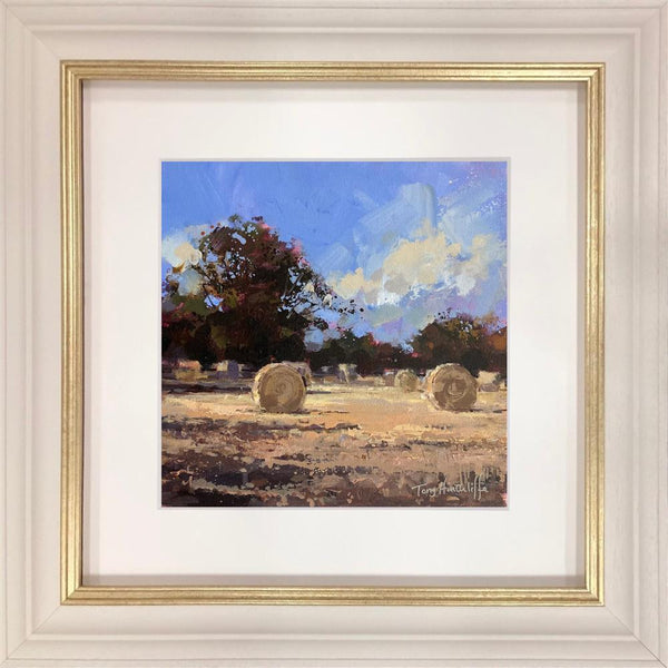 Field Of Gold - Tony Hinchliffe - Watergate Contemporary