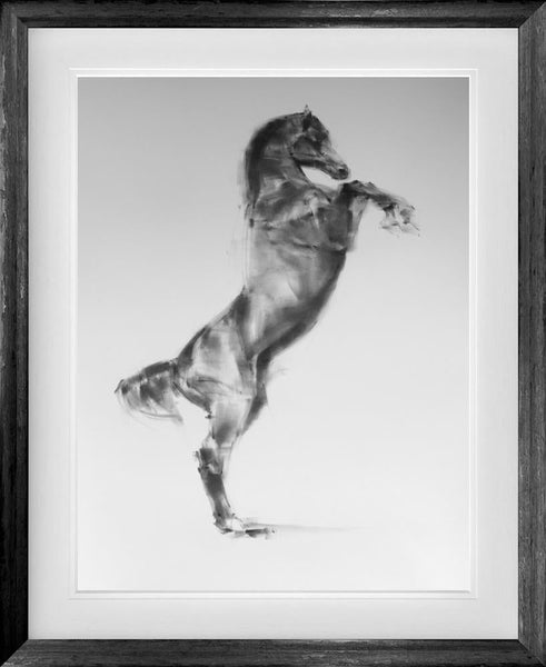 Heroic - Tim Wang - Watergate Contemporary