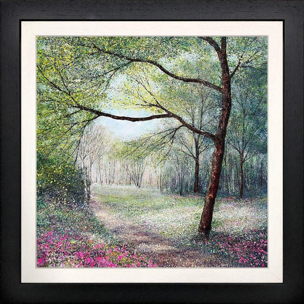 Magenta Lights Up The Woodland - Chris Bourne - Watergate Contemporary