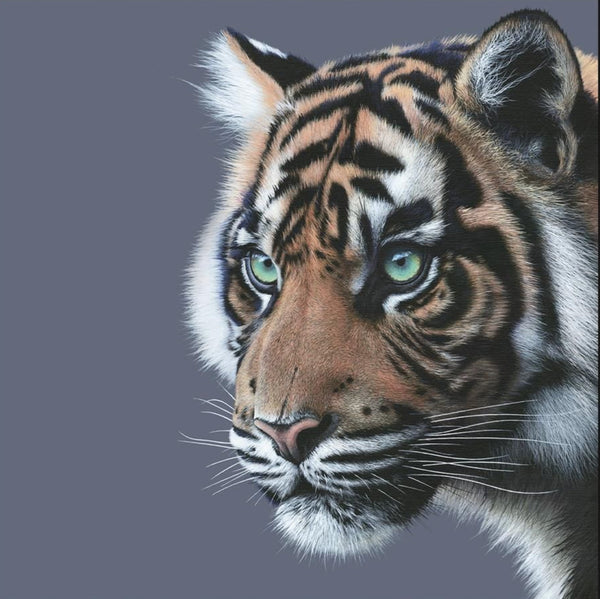 Mesmerised by Martin Robson - Martin Robson - Watergate Contemporary