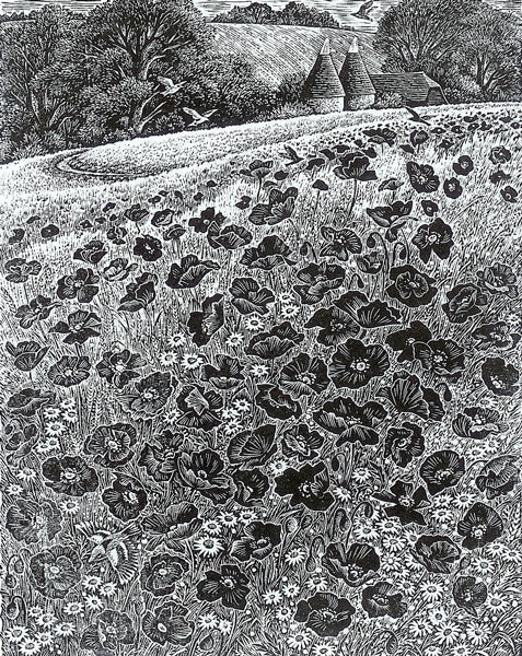 Midsummer by Sue Scullard - Sue Scullard - Watergate Contemporary