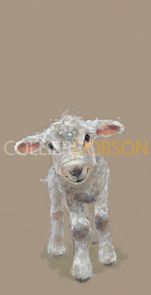 Pascal by Nicky Litchfield - Nicky Litchfield - Watergate Contemporary