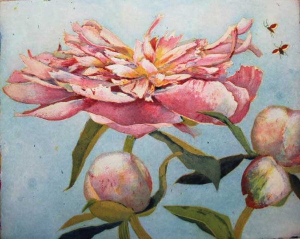 Peonies - Jutta Votteler - Watergate Contemporary