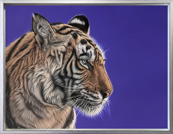 Purple Reign - Owain George - Watergate Contemporary