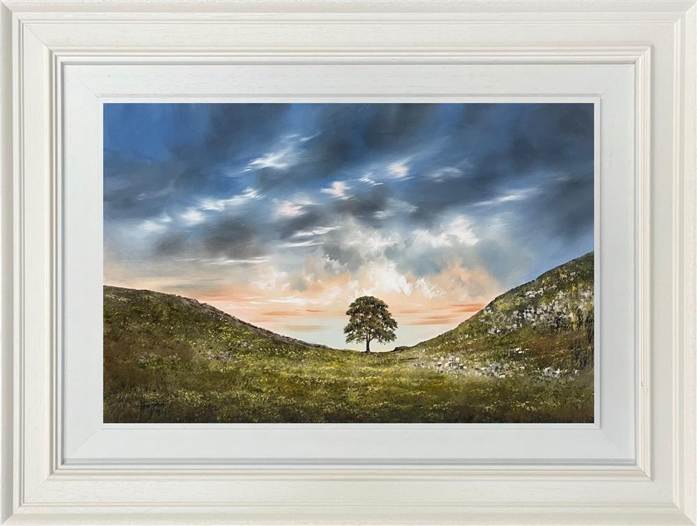 Sycamore Shadows - Allan Morgan - Watergate Contemporary