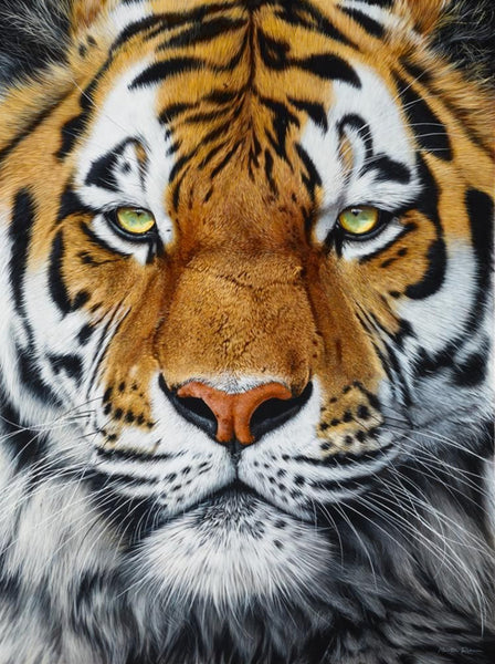 The Prince by Martin Robson - Martin Robson - Watergate Contemporary