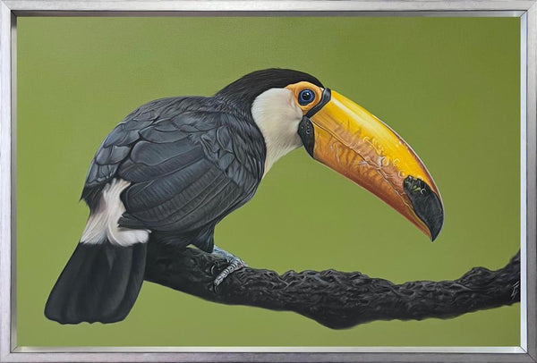 Toco - Owain George - Watergate Contemporary