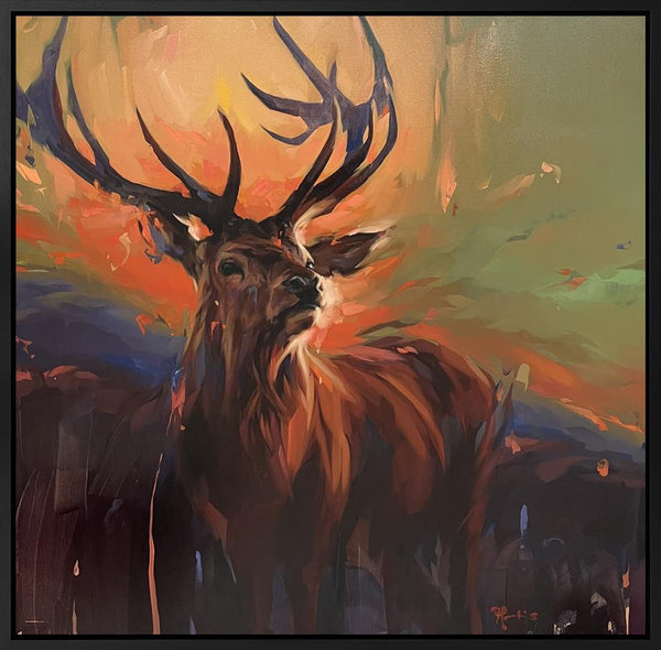 Wild Glow - Frank Pretorius - Watergate Contemporary