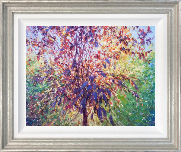 Prunus