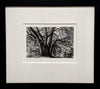 Edge of the Wood by Sue Scullard - Sue Scullard - Watergate Contemporary