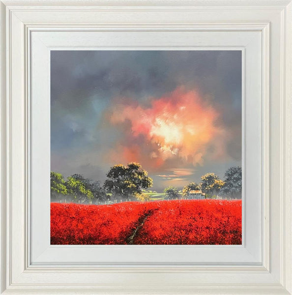 Rose Glow - Allan Morgan - Watergate Contemporary