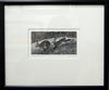 Running Hares - Sue Scullard - Watergate Contemporary