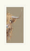Shy Guy by Nicky Litchfield - Nicky Litchfield - Watergate Contemporary