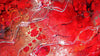 Sweet Heart - Kerry Darlington - Watergate Contemporary