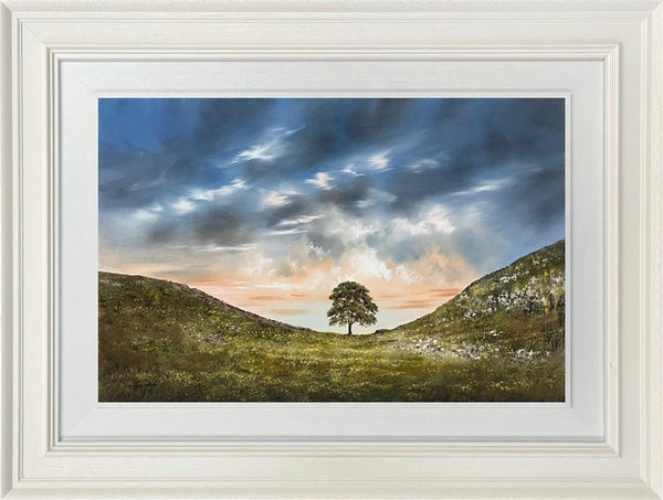 Sycamore Shadows - Allan Morgan - Watergate Contemporary