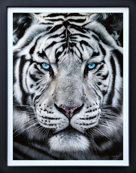 The Silent Warrior - Deluxe - Martin Robson - Watergate Contemporary