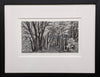 Through the Woods by Sue Scullard - Sue Scullard - Watergate Contemporary