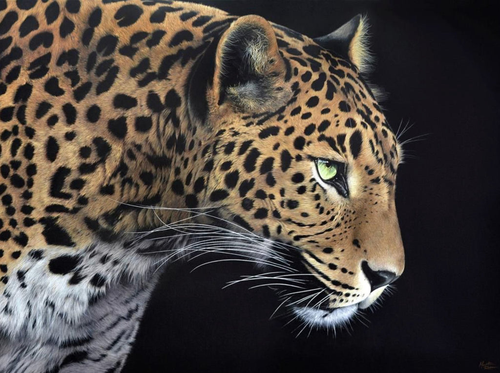 Yala by Martin Robson - Martin Robson - Watergate Contemporary